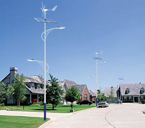 LED太阳能风光互补路灯ZX-FDGBLD009