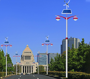 LED太阳能风光互补路灯ZX-FDGBLD011