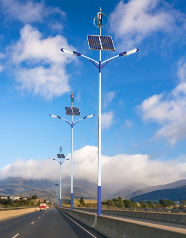 LED太阳能风光互补路灯ZX-FDGBLD012