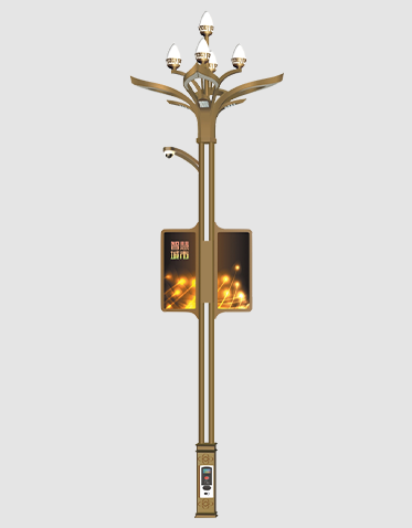 智慧路灯ZX-ZHLD025 智慧路灯ZX-ZHLD025