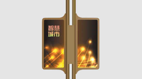 智慧路灯ZX-ZHLD025