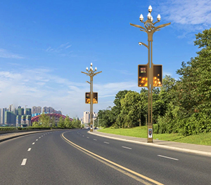 智慧路灯ZX-ZHLD025