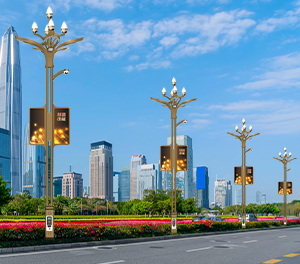 智慧路灯ZX-ZHLD025