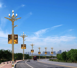 智慧路灯ZX-ZHLD025