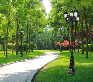 LED庭院灯ZX-TYD093