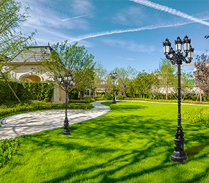 LED庭院灯ZX-TYD093