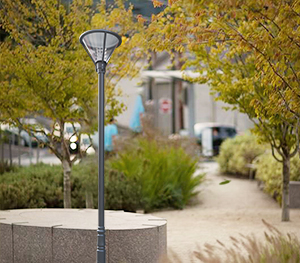 LED庭院灯ZX-TYD097