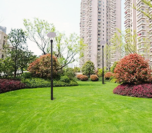 LED庭院灯ZX-TYD098