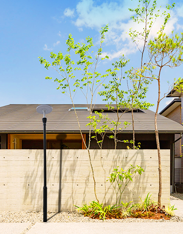 LED庭院灯ZX-TYD098