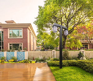 LED庭院灯ZX-TYD102