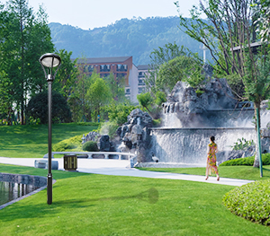 LED庭院灯ZX-TYD103