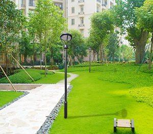 LED庭院灯ZX-TYD103