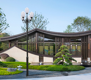 LED庭院灯ZX-TYD105