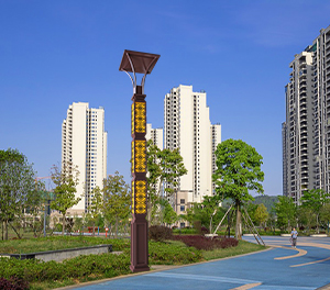 LED景观灯ZX-JGD104