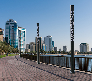 LED景观灯ZX-JGD106