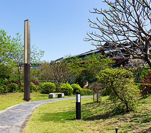 LED景观灯ZX-JGD111