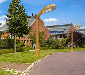 LED景观灯ZX-JGD114