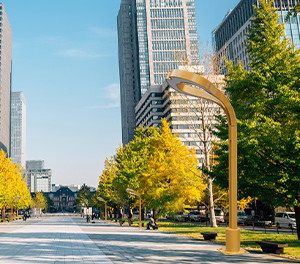 LED景观灯ZX-JGD114