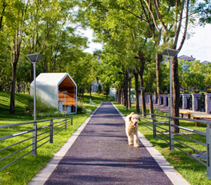 LED庭院灯ZX-TYD110