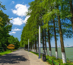 LED景观灯ZX-JGD117