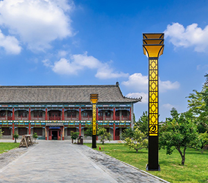 LED景观灯ZX-JGD126