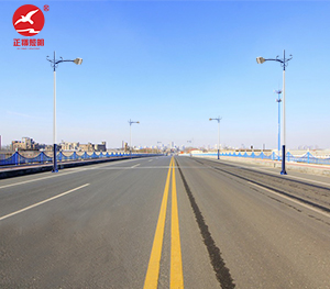 LED市电路灯ZX-LD048