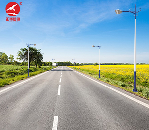 LED市电路灯ZX-LD048