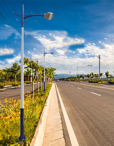 LED市电路灯ZX-LD048