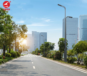 LED市电路灯ZX-LD049