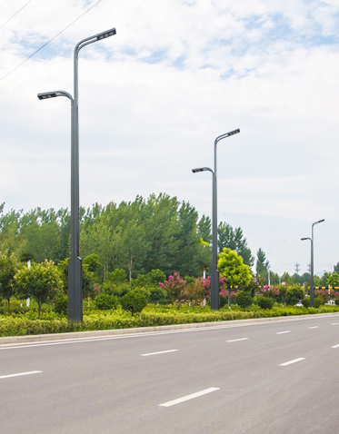 LED市电路灯ZX-LD049 LED市电路灯ZX-LD049