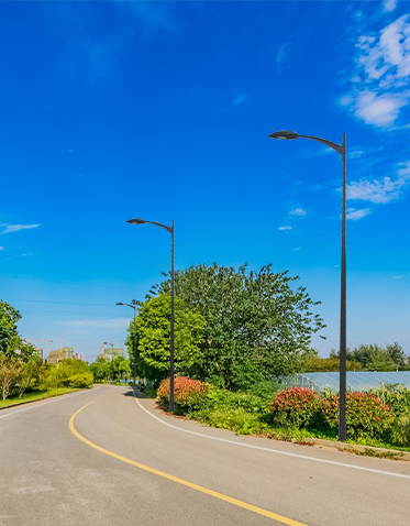 LED市电路灯ZX-LD050 LED市电路灯ZX-LD050