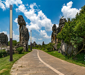 LED景观灯ZX-JGD127