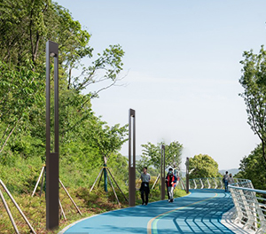 LED景观灯ZX-JGD129