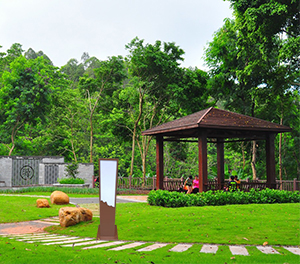 LED草坪灯ZX-CPD078