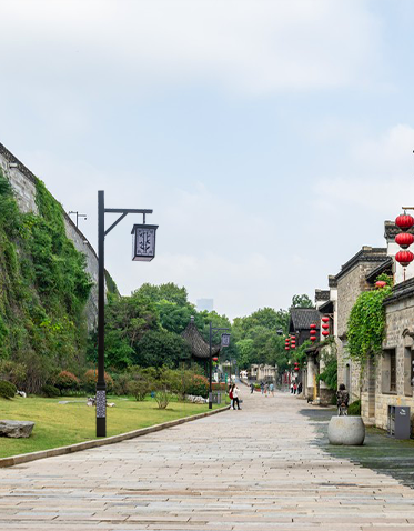 LED庭院灯ZX-TYD118 LED庭院灯ZX-TYD118