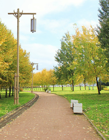 LED景观灯ZX-JGD131