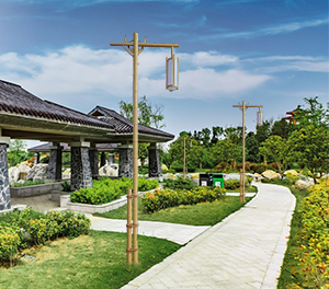 LED景观灯ZX-JGD131