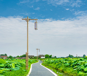 LED景观灯ZX-JGD131