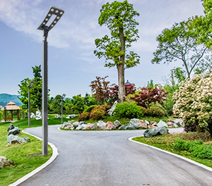 LED庭院灯ZX-TYD123