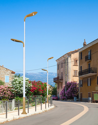 LED市电路灯ZX-LD051