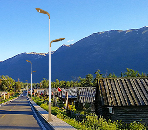 LED市电路灯ZX-LD051