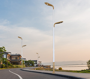 LED市电路灯ZX-LD051