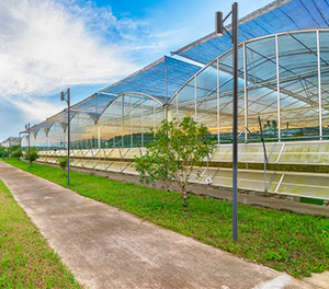 LED庭院灯ZX-TYD127