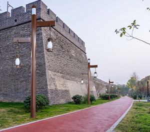 LED庭院灯ZX-TYD129