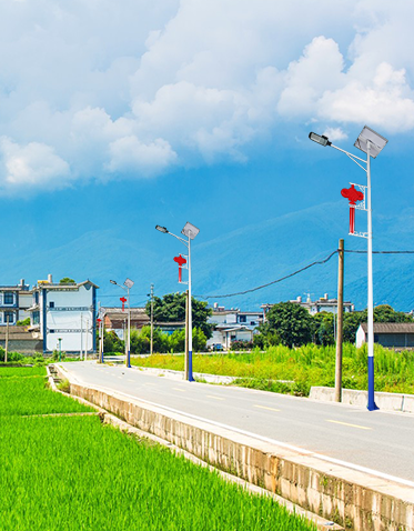 LED太阳能路灯ZX-LD053