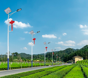 LED太阳能路灯ZX-LD053