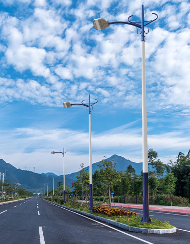 LED市电路灯ZX-LD055