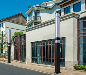 LED景观灯ZX-JGD139