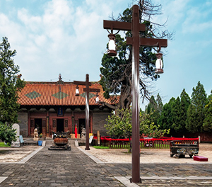 LED庭院灯ZX-TYD136