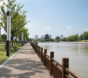 LED庭院灯ZX-TYD138